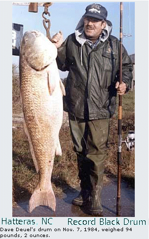Red Drum NC