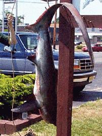Thresher